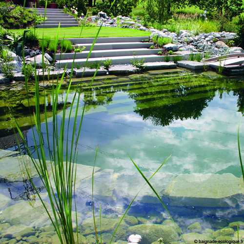 Piscine naturelle 01