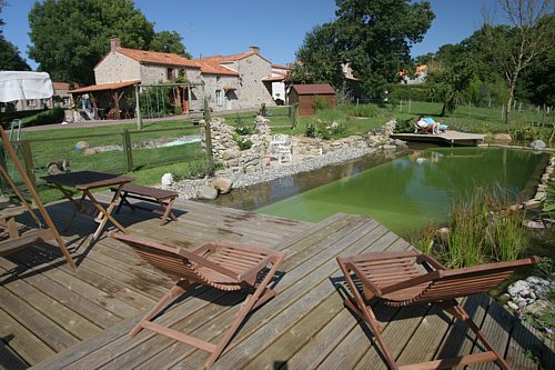 Piscine naturelle 05