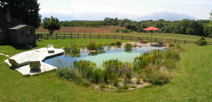 Piscine naturelle 09