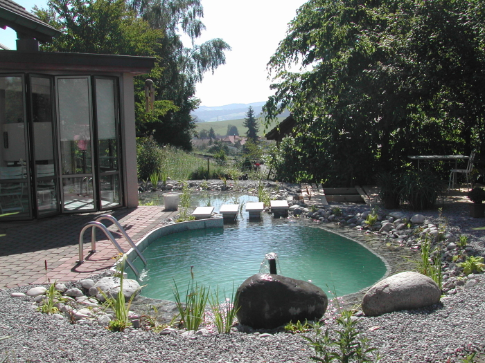 Piscine naturelle 11