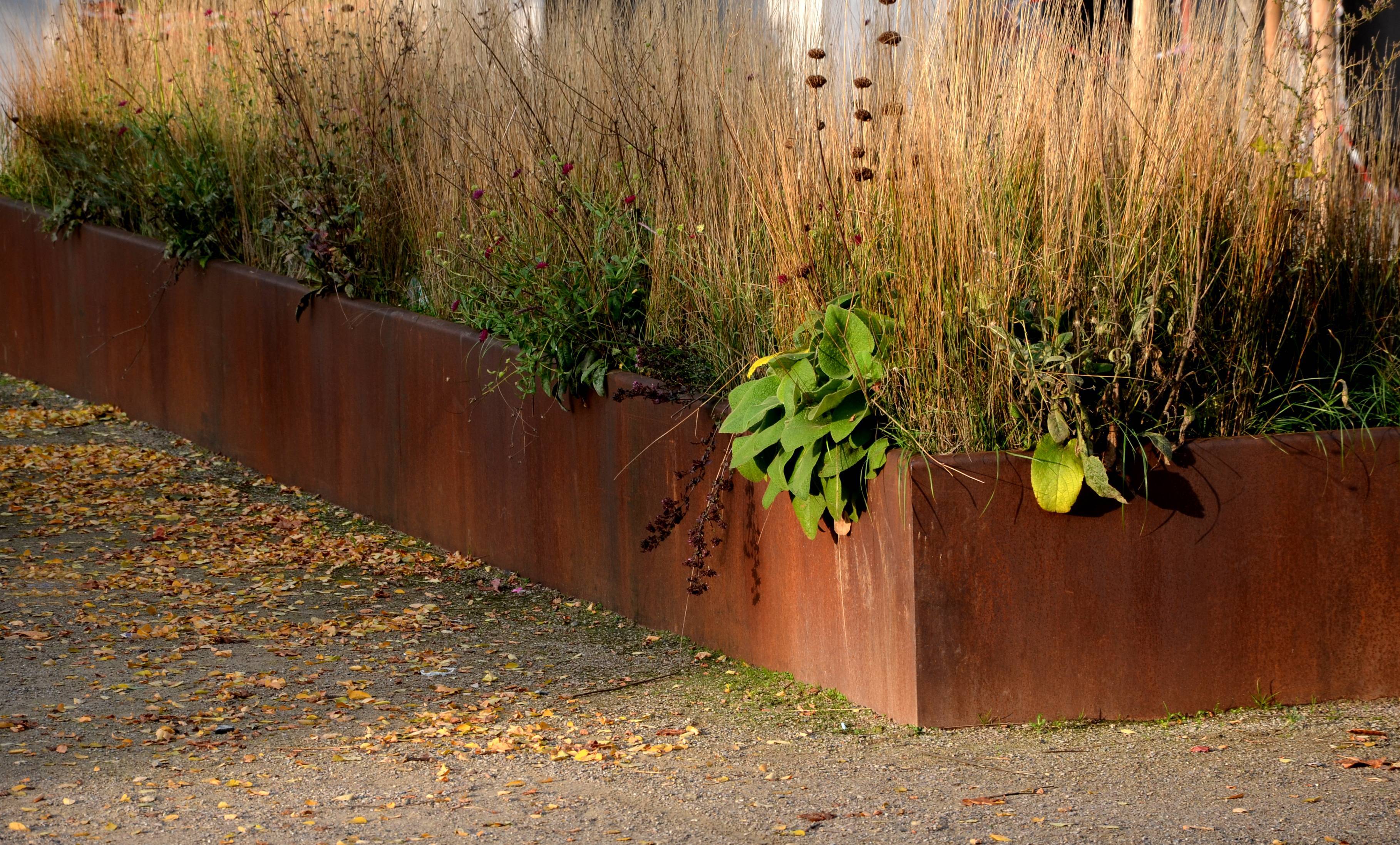 bordure jardin acier corten bois