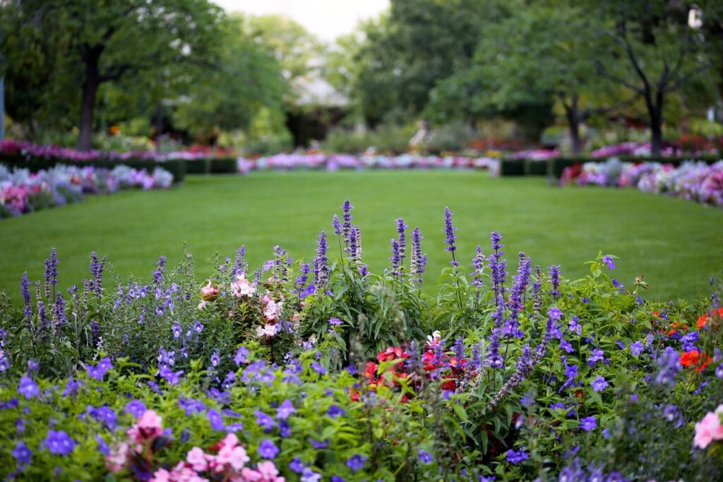 Créer parterre de fleurs