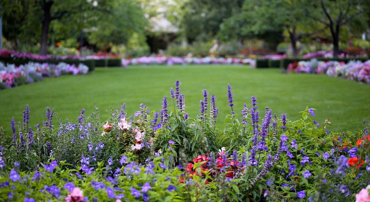 Créer parterre de fleurs