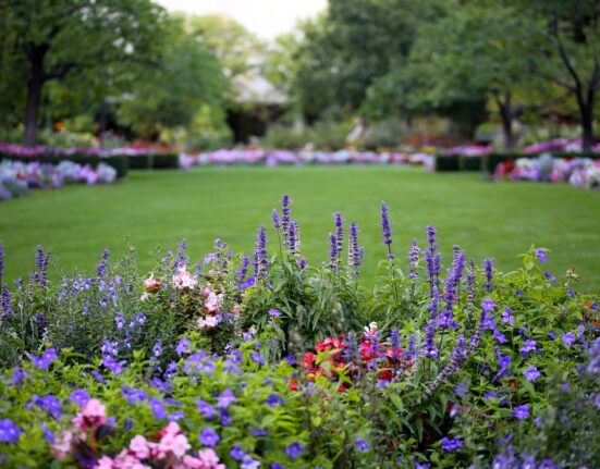 Créer parterre de fleurs