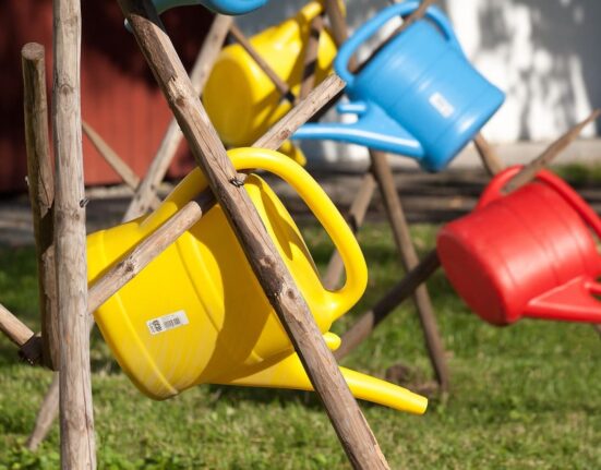 Conseils quand arroser jardin en été