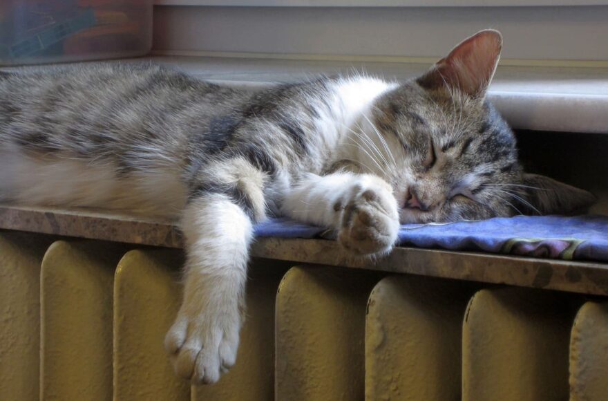 Comment calculer la puissance nécessaire pour vos radiateurs électriques