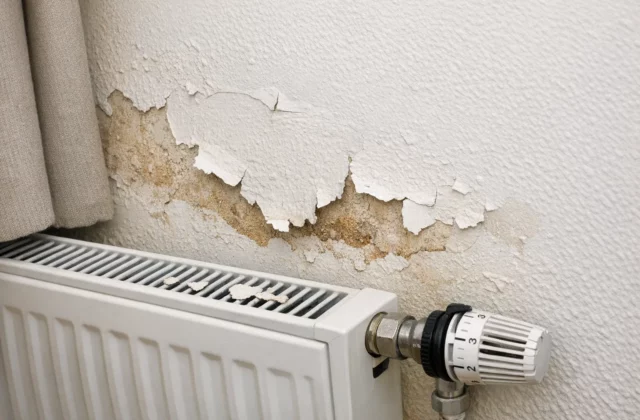 Pourquoi les murs s’écaillent près des radiateurs