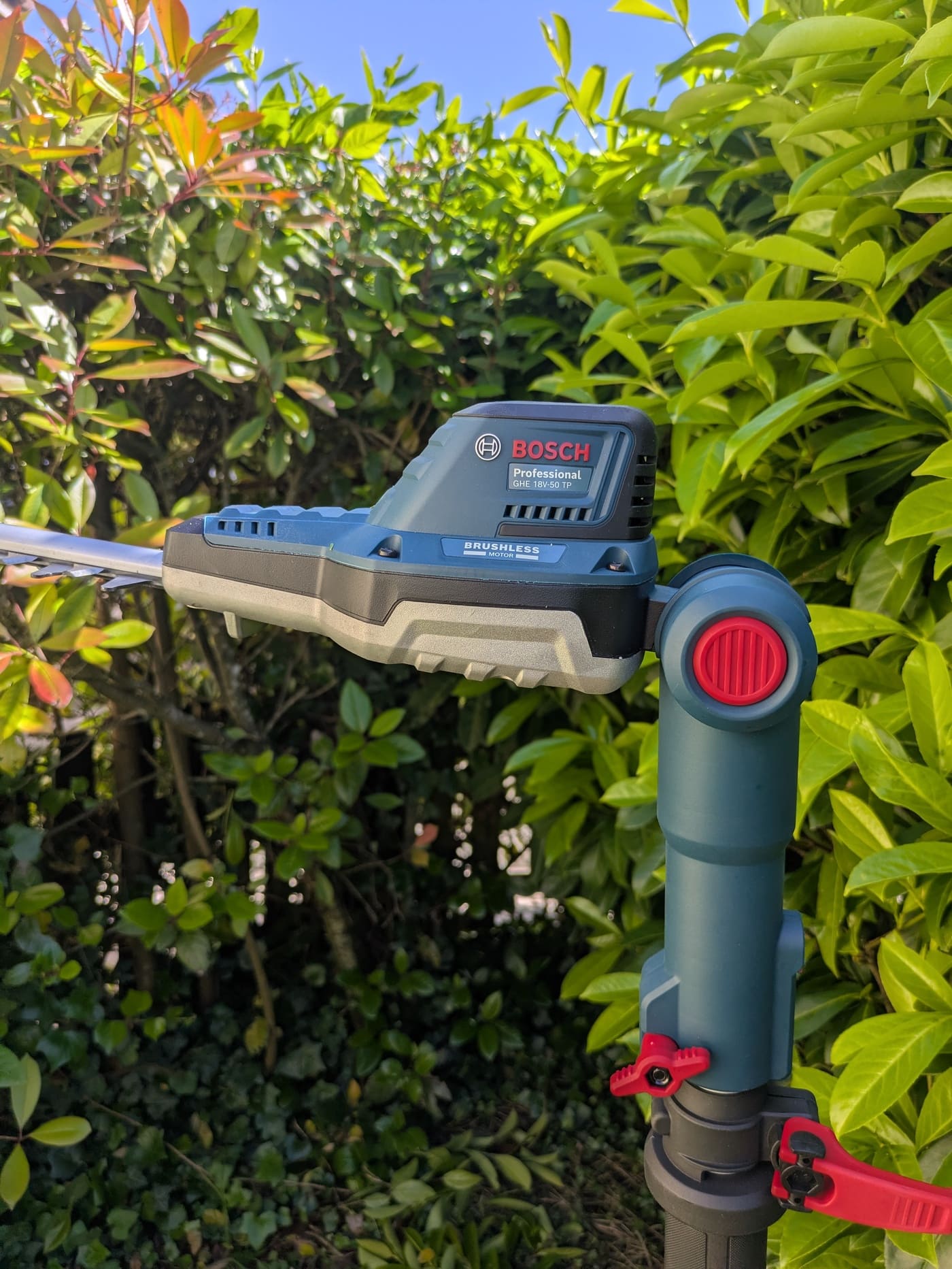 Test du Bosch Professional GHE 18V-50 TP taille-haies télescopique