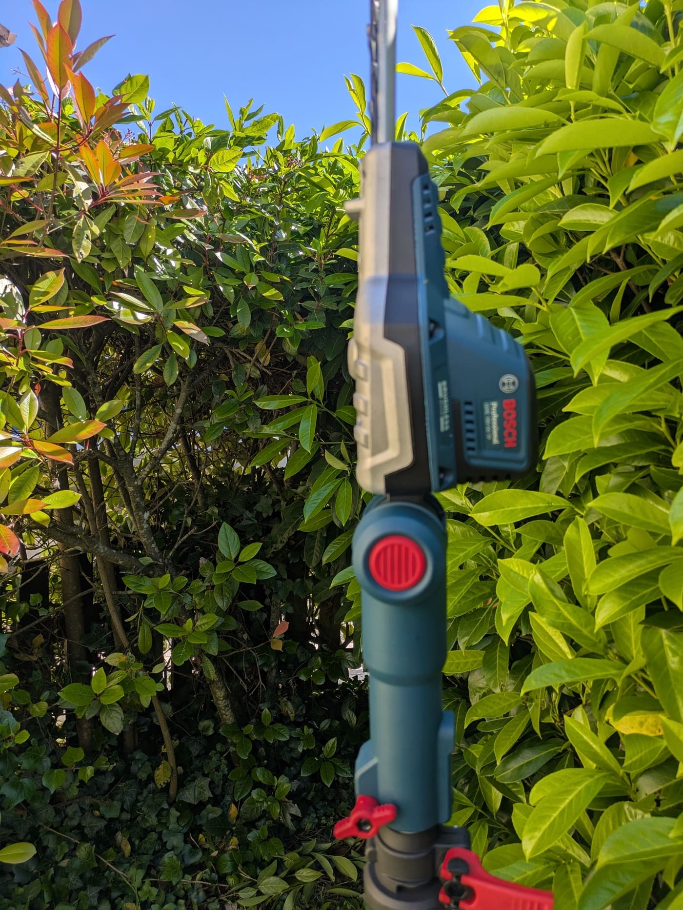 Test du Bosch Professional GHE 18V-50 TP un taille-haies télescopique