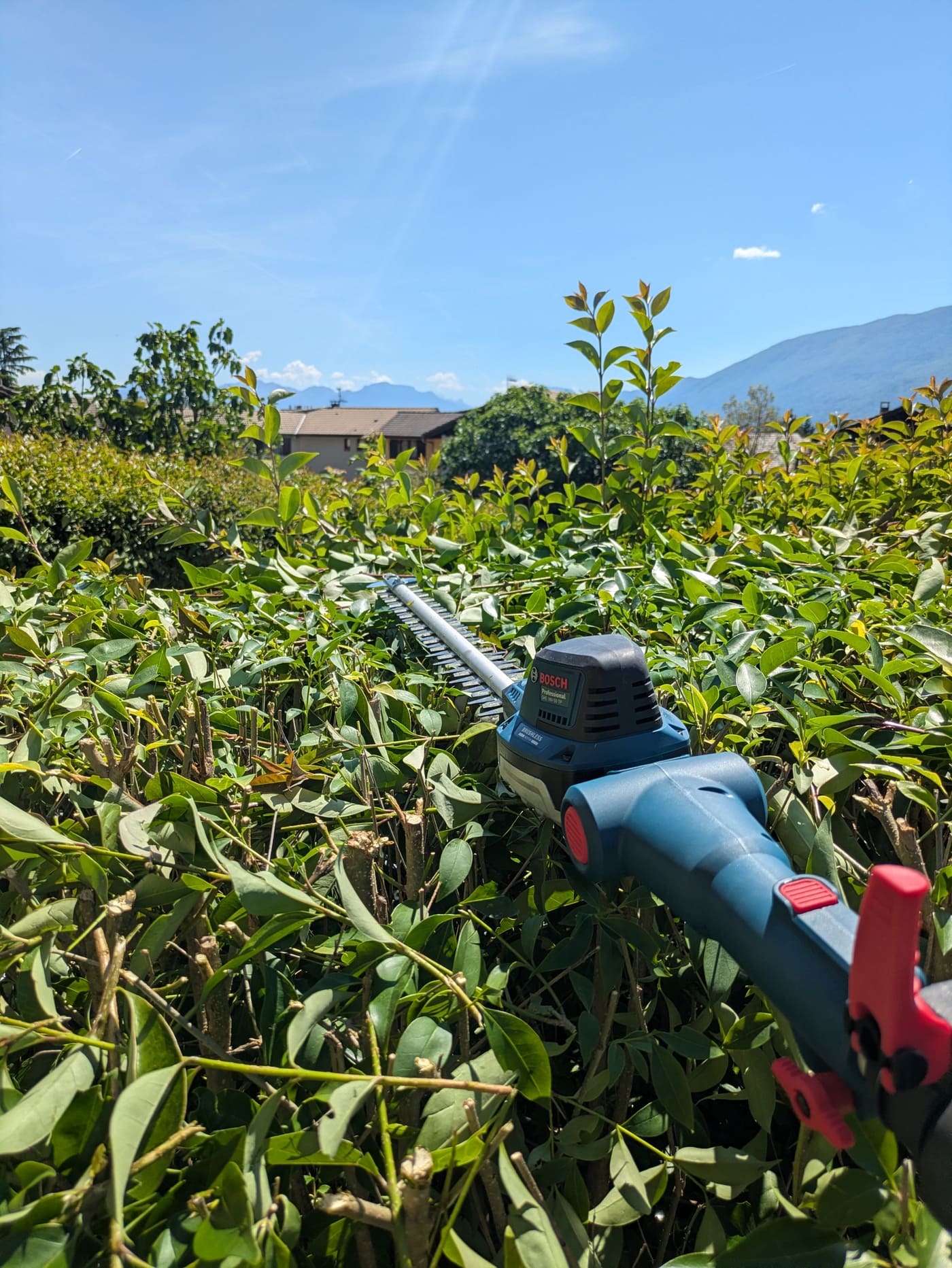 Test taille-haies télescopique Bosch Professional GHE 18V-50 TP