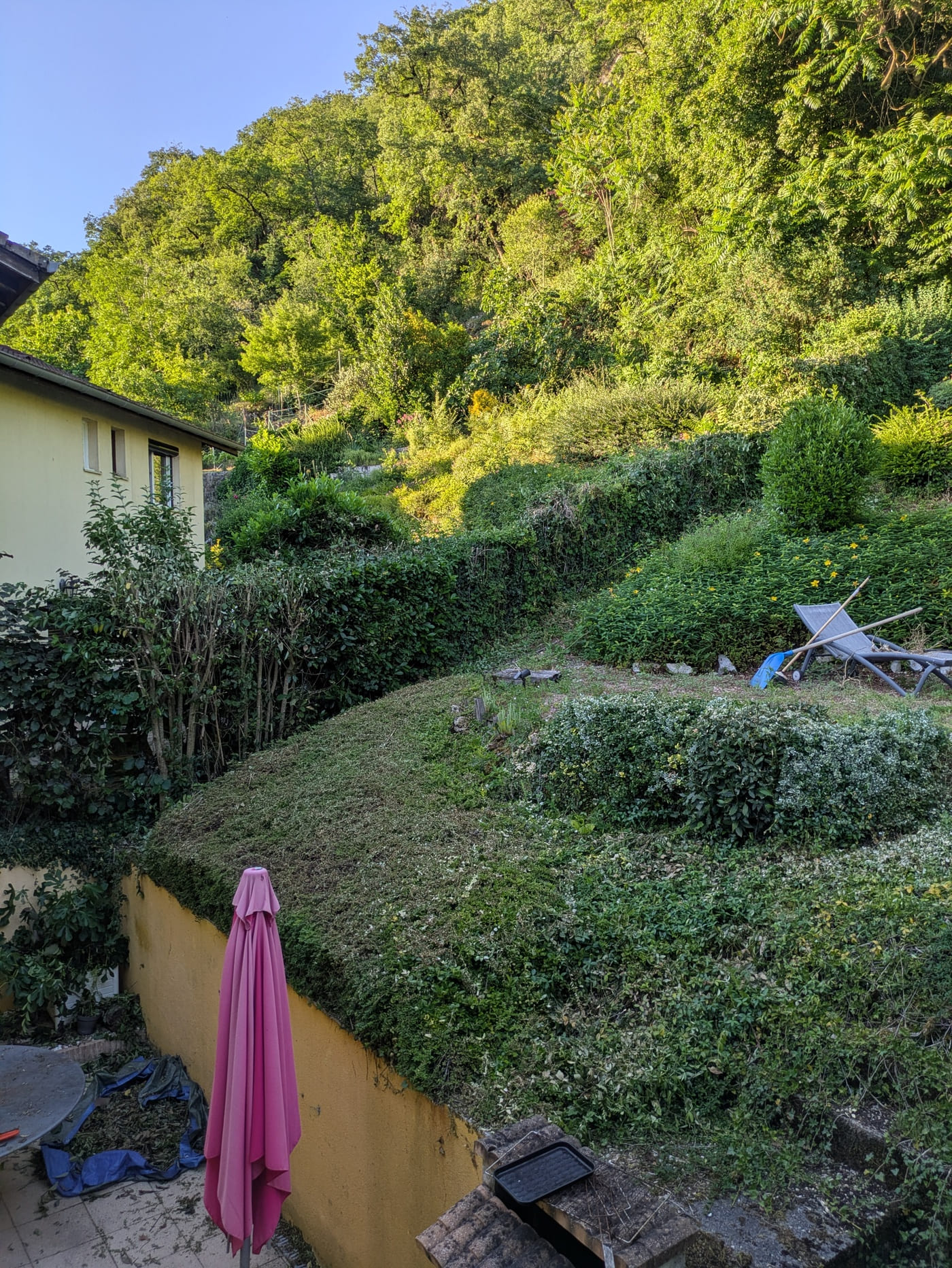 Test taille-haies télescopique Bosch Professional